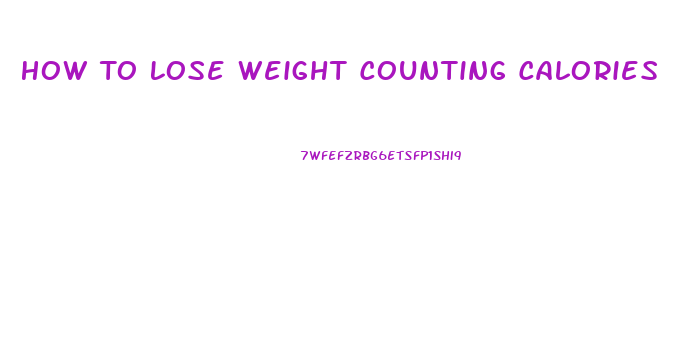 How To Lose Weight Counting Calories