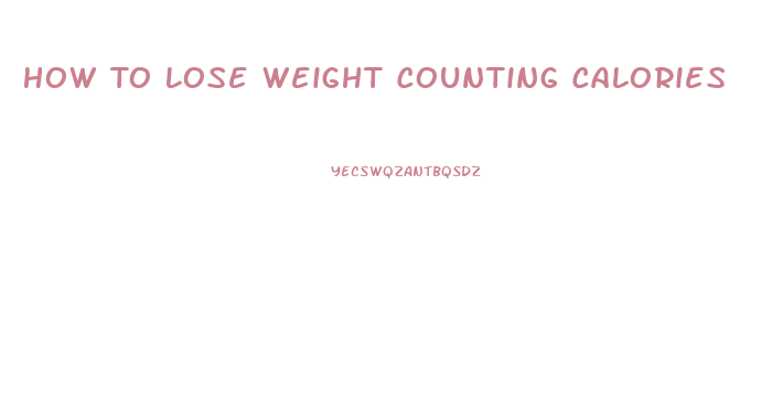 How To Lose Weight Counting Calories