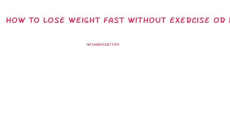 How To Lose Weight Fast Without Exercise Or Pills For Free