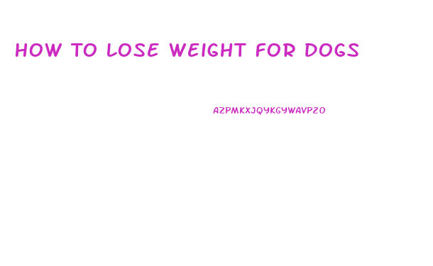 How To Lose Weight For Dogs