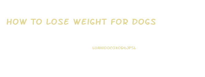 How To Lose Weight For Dogs