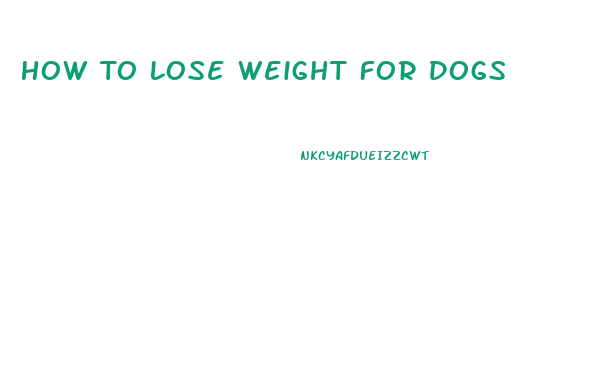 How To Lose Weight For Dogs