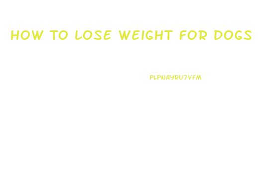 How To Lose Weight For Dogs