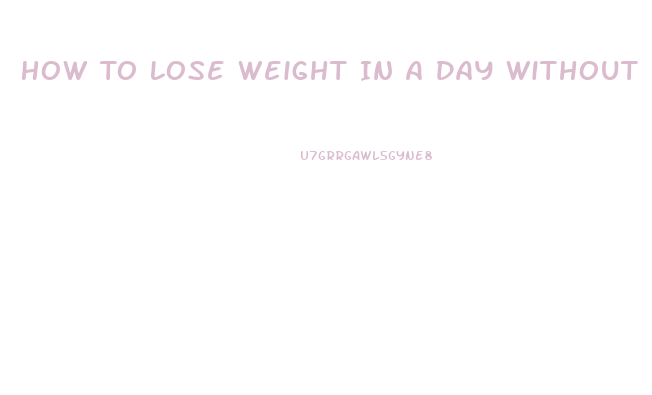 How To Lose Weight In A Day Without Exercise