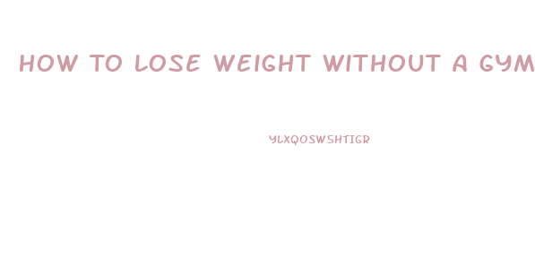 How To Lose Weight Without A Gym