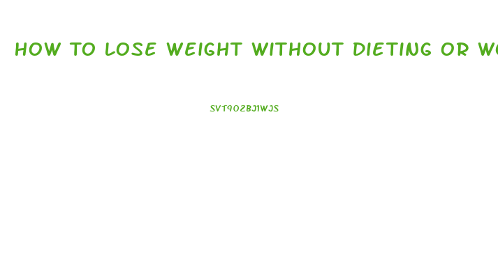 How To Lose Weight Without Dieting Or Working Out