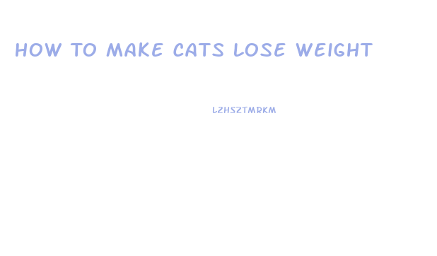 How To Make Cats Lose Weight