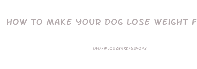 How To Make Your Dog Lose Weight Fast