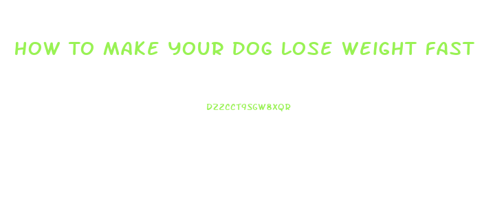 How To Make Your Dog Lose Weight Fast