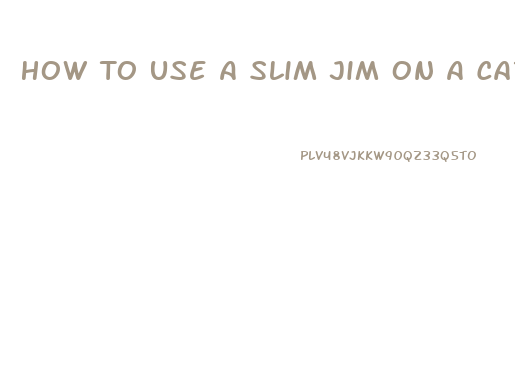 How To Use A Slim Jim On A Car