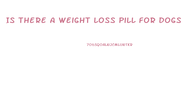 Is There A Weight Loss Pill For Dogs