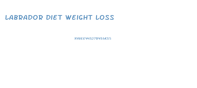 Labrador Diet Weight Loss