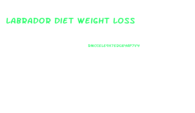 Labrador Diet Weight Loss