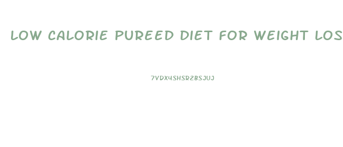 Low Calorie Pureed Diet For Weight Loss