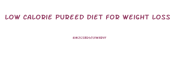 Low Calorie Pureed Diet For Weight Loss