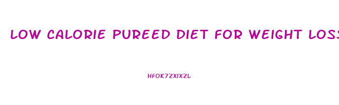 Low Calorie Pureed Diet For Weight Loss