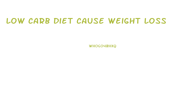 Low Carb Diet Cause Weight Loss