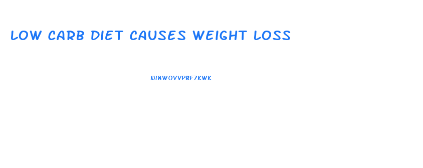 Low Carb Diet Causes Weight Loss