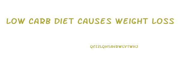 Low Carb Diet Causes Weight Loss