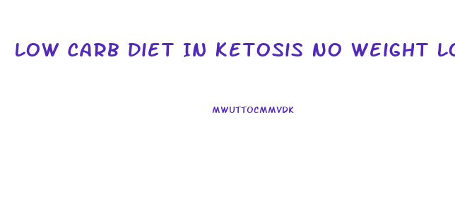 Low Carb Diet In Ketosis No Weight Loss