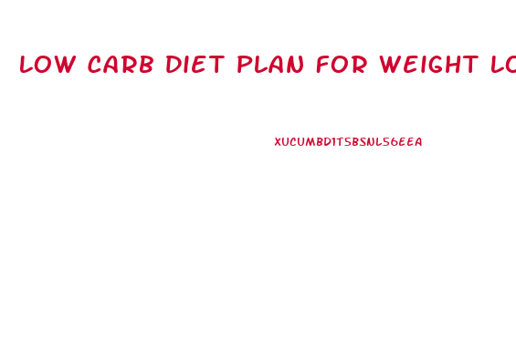 Low Carb Diet Plan For Weight Loss South Africa