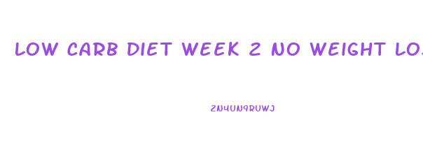 Low Carb Diet Week 2 No Weight Loss