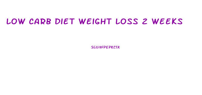 Low Carb Diet Weight Loss 2 Weeks