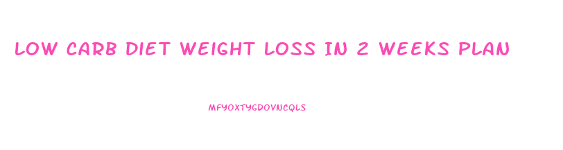 Low Carb Diet Weight Loss In 2 Weeks Plan