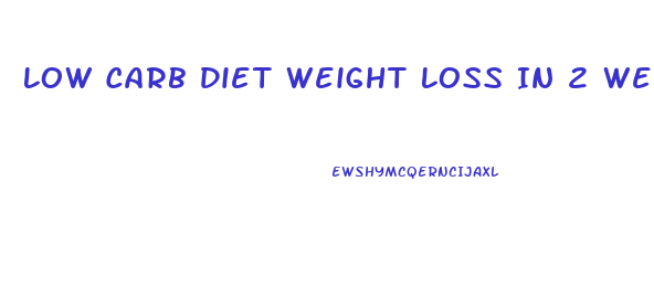Low Carb Diet Weight Loss In 2 Weeks Plan