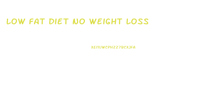 Low Fat Diet No Weight Loss