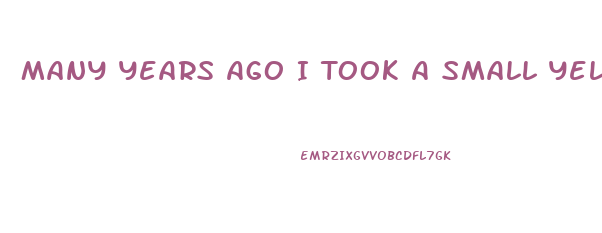Many Years Ago I Took A Small Yellow Pill For Diet What Was It
