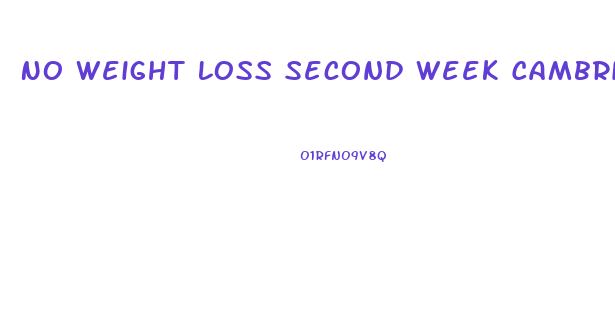 No Weight Loss Second Week Cambridge Diet