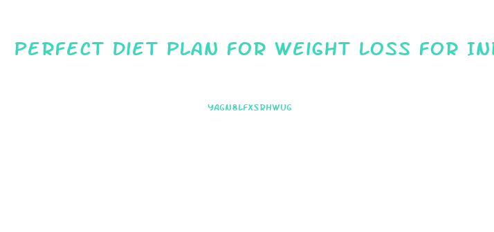 Perfect Diet Plan For Weight Loss For Indian Male