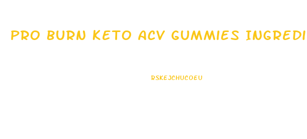 Pro Burn Keto Acv Gummies Ingredients List