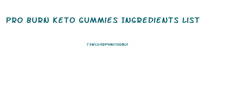 Pro Burn Keto Gummies Ingredients List