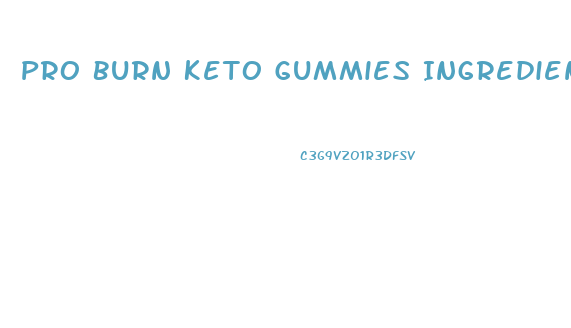 Pro Burn Keto Gummies Ingredients List