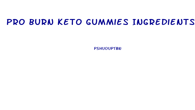 Pro Burn Keto Gummies Ingredients List