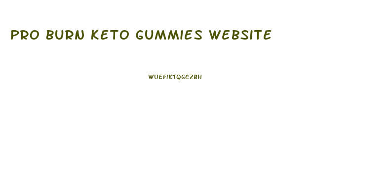 Pro Burn Keto Gummies Website