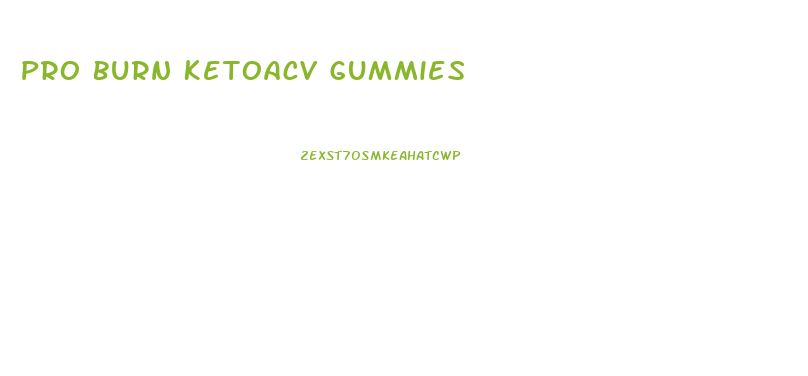 Pro Burn Ketoacv Gummies