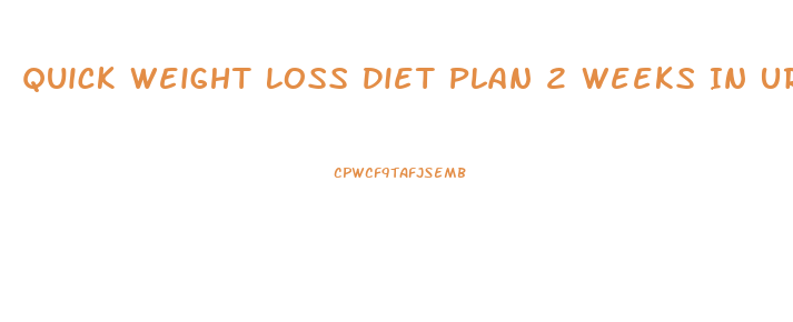 Quick Weight Loss Diet Plan 2 Weeks In Urdu