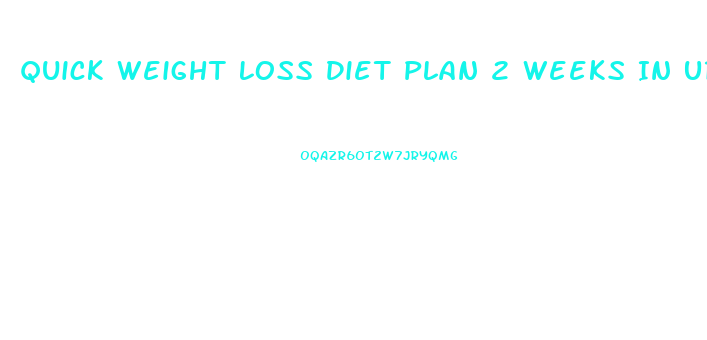 Quick Weight Loss Diet Plan 2 Weeks In Urdu