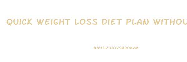 Quick Weight Loss Diet Plan Without Exercise