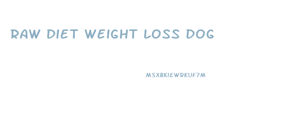 Raw Diet Weight Loss Dog