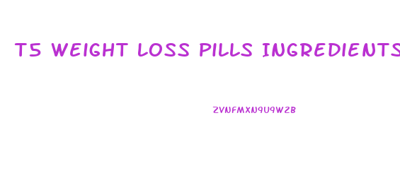 T5 Weight Loss Pills Ingredients