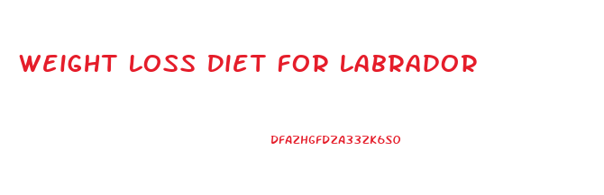 Weight Loss Diet For Labrador