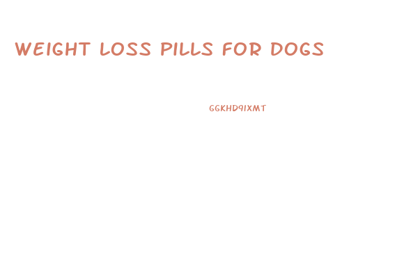 Weight Loss Pills For Dogs