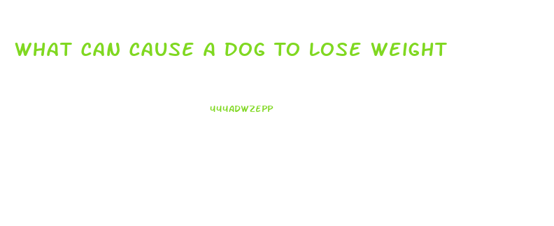 What Can Cause A Dog To Lose Weight