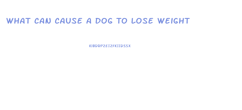 What Can Cause A Dog To Lose Weight