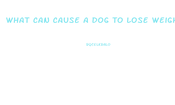 What Can Cause A Dog To Lose Weight