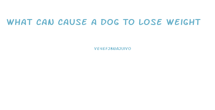What Can Cause A Dog To Lose Weight